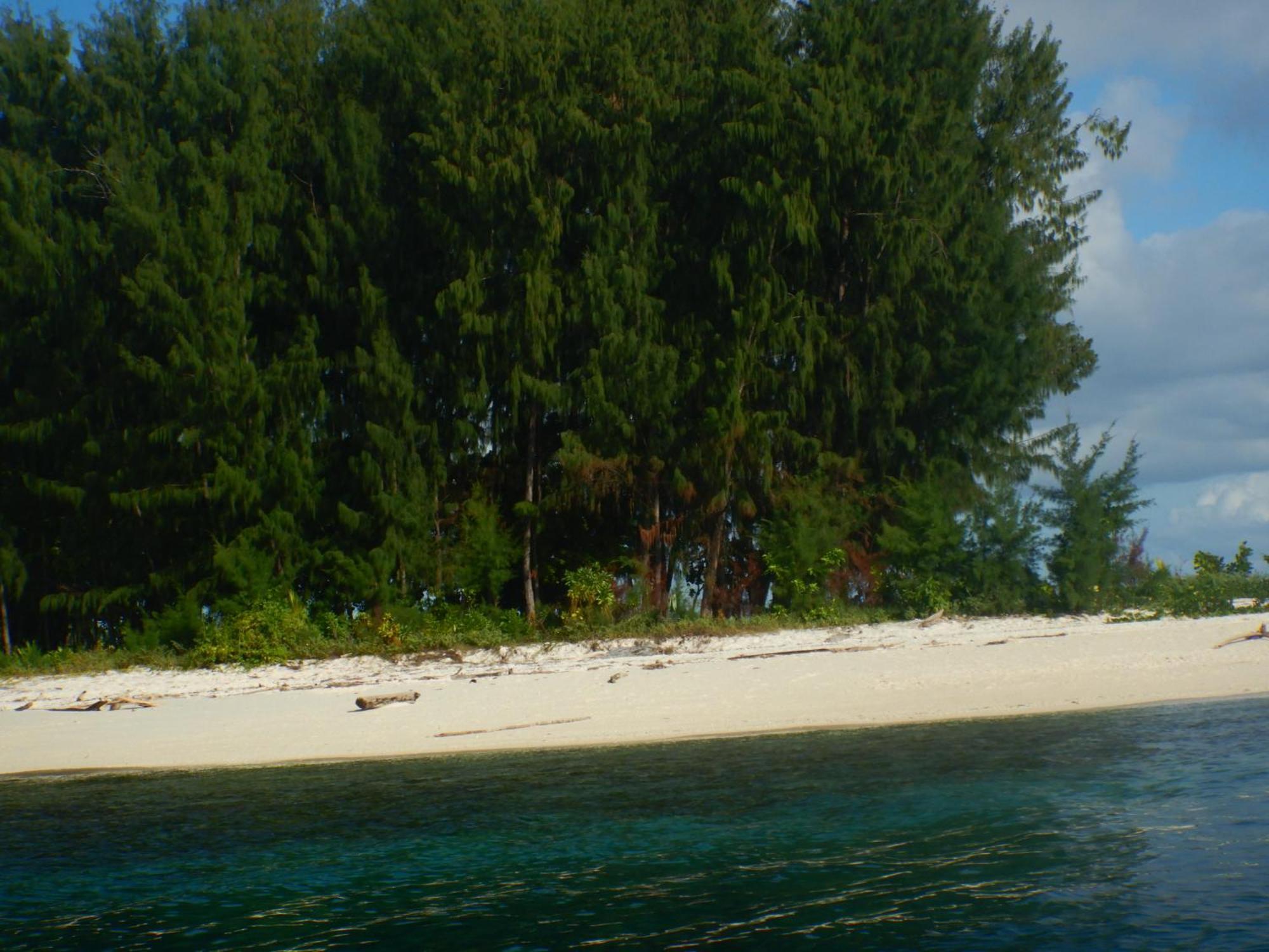 Raja Ampat Blue Sea Villa Besir Buitenkant foto