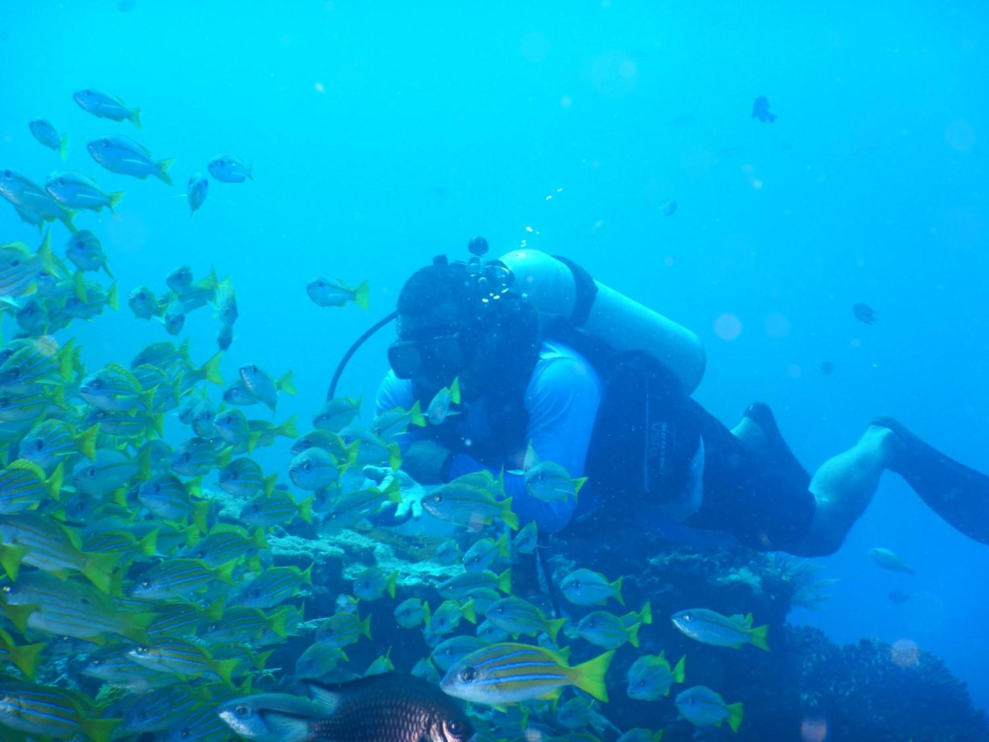 Raja Ampat Blue Sea Villa Besir Buitenkant foto